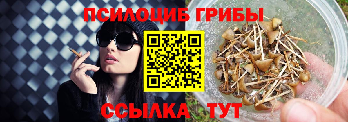 Галлюциногенные грибы Magic Shrooms  Галлюциногенные грибы Psilocybine cubensis  Вход с VPN  Кисловодск 