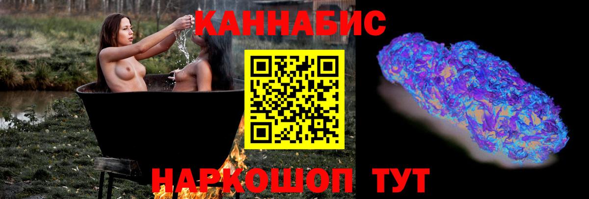 Каннабис планчик  Канабис сатива  Вход с VPN  Кисловодск 